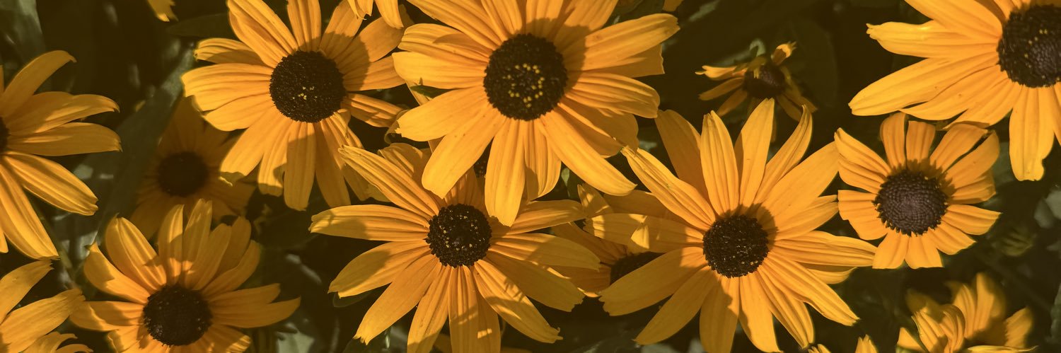 ashleyjmcd_'s profile banner image