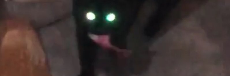 scorch banner