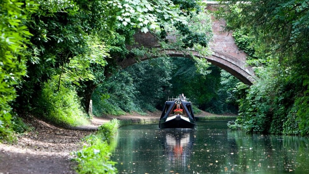 Wrigleys Family Business banner