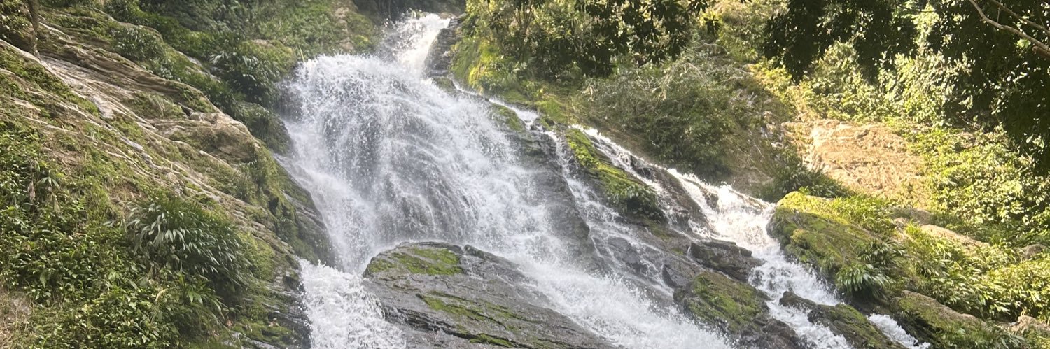 barbiemusculosa banner