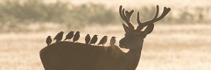 lvisgr's profile banner image