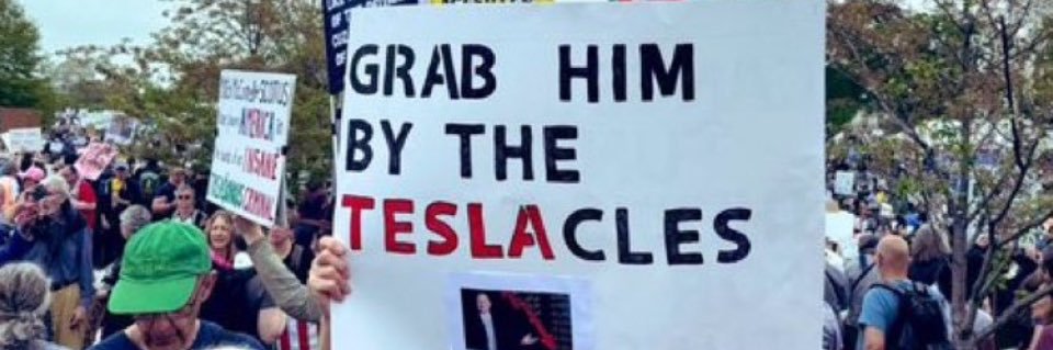 Mellie banner