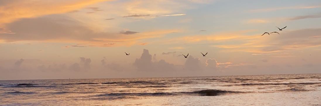 MichaelaRae26's profile banner image