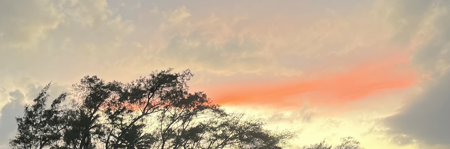 kgeorgettec's profile banner image