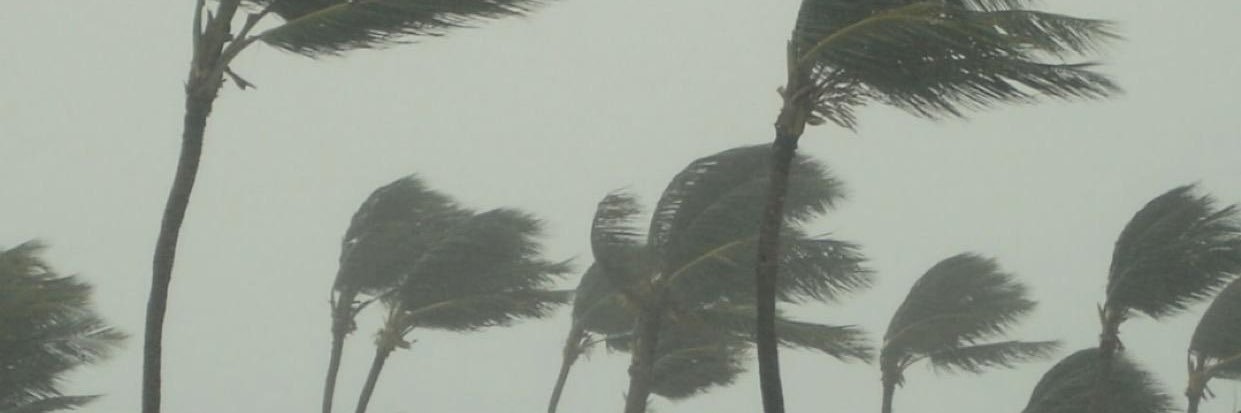 fuckstefen's profile banner image