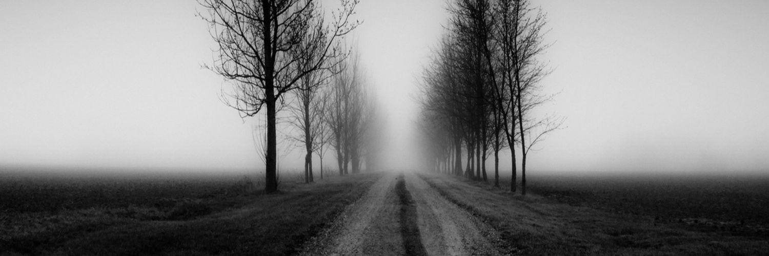 m_vicenzi's profile banner image