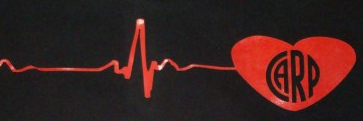 lPalermito's profile banner image