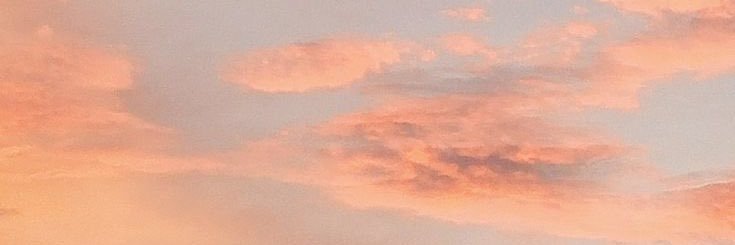 cerflores_'s profile banner image