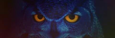 nicolas77uch's profile banner image
