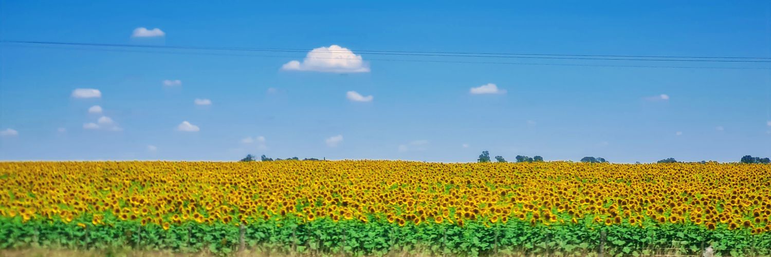 brem28z's profile banner image
