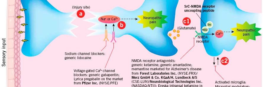 nippyneuropath's profile banner image
