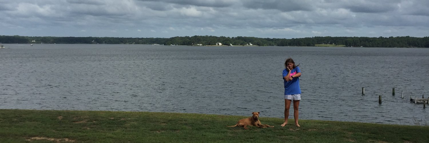 lillizwill's profile banner image