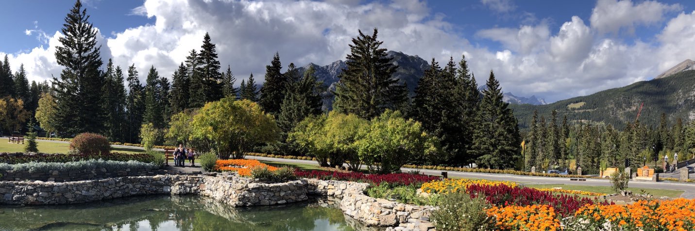 pedsNPyyc's profile banner image