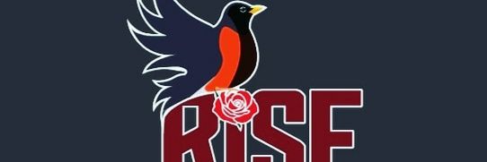 robin_bumpus's profile banner image