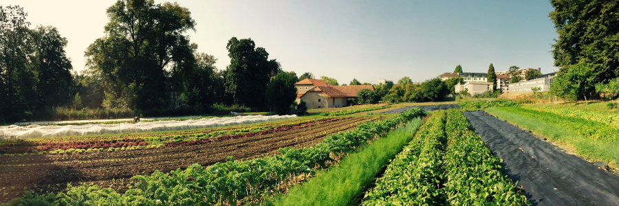 FermeDeBude's profile banner image