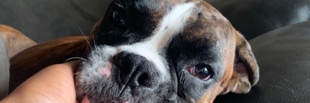 ___cupofJOe's profile banner image
