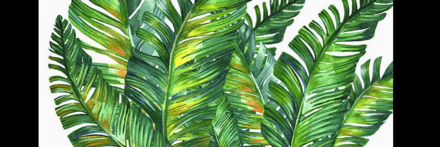 bronsoon2's profile banner image