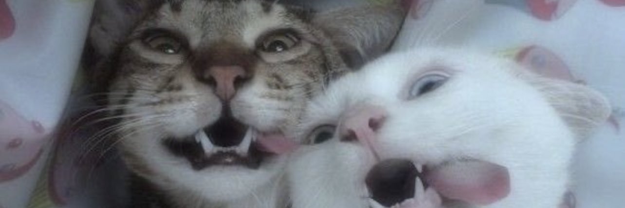 nicole_halll's profile banner image