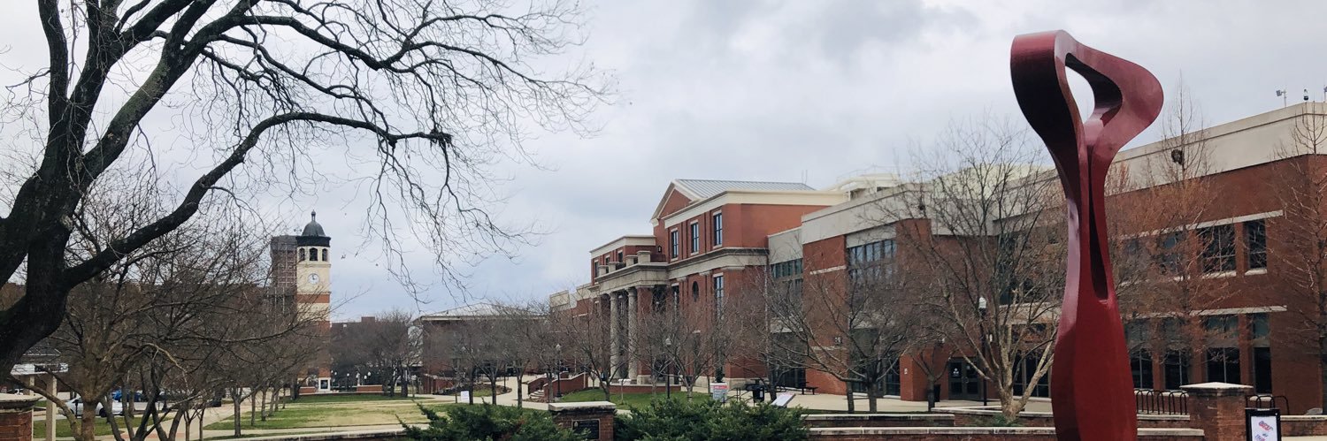 yourDSU's profile banner image
