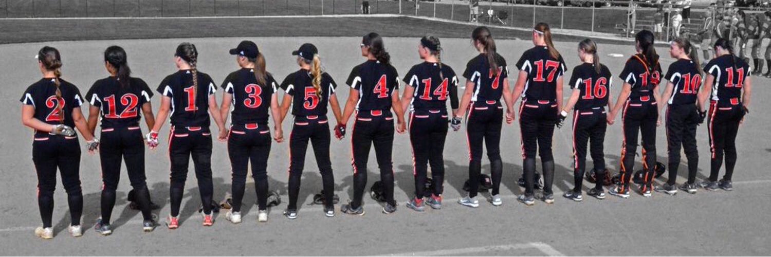 HNHS_Softball's profile banner image