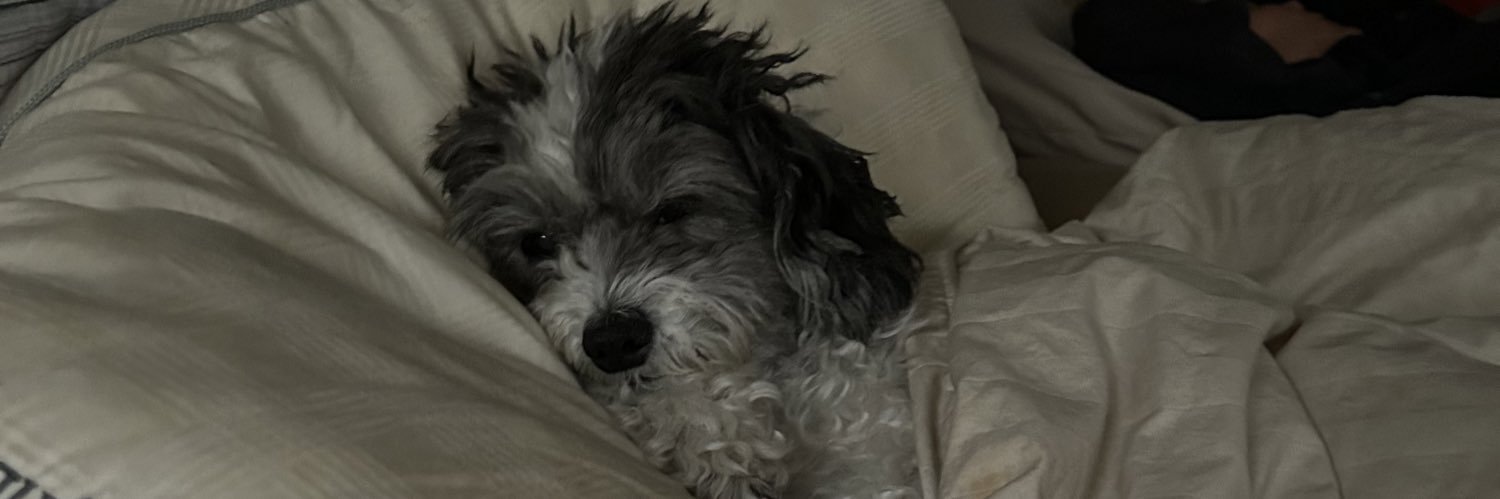 lexihouuk's profile banner image