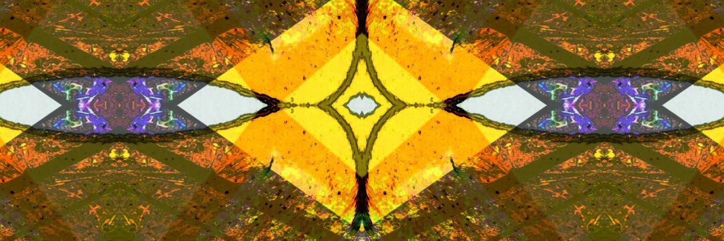 Metazoaart's profile banner image