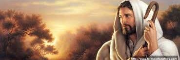 YoSoyVerdad's profile banner image