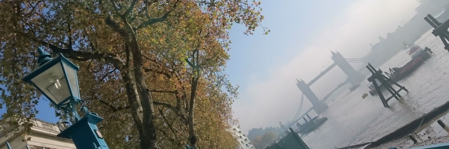 DBijos's profile banner image