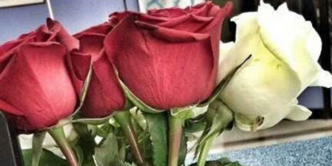 amamjad537's profile banner image