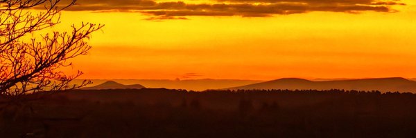 Angie88RH Profile Banner