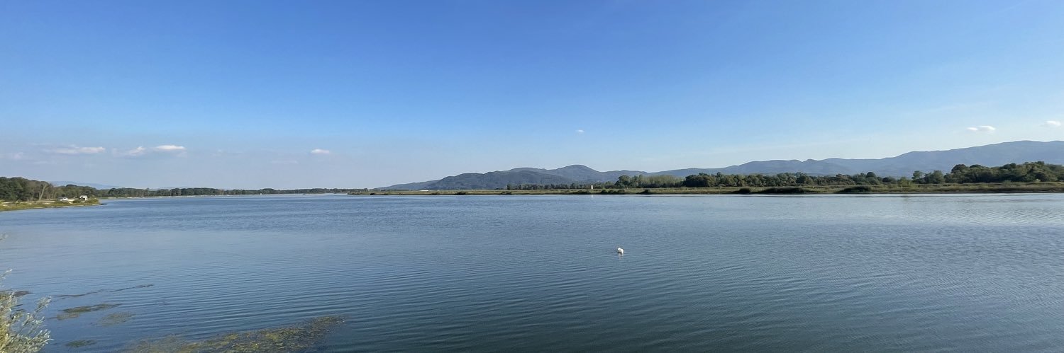 Igor Zorčič banner