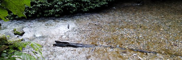 180Unik Profile Banner