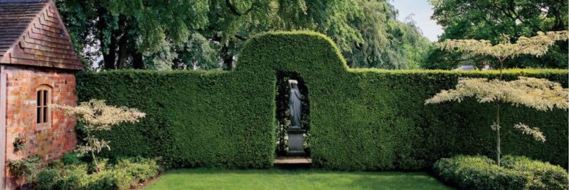 jeffrey whipps banner