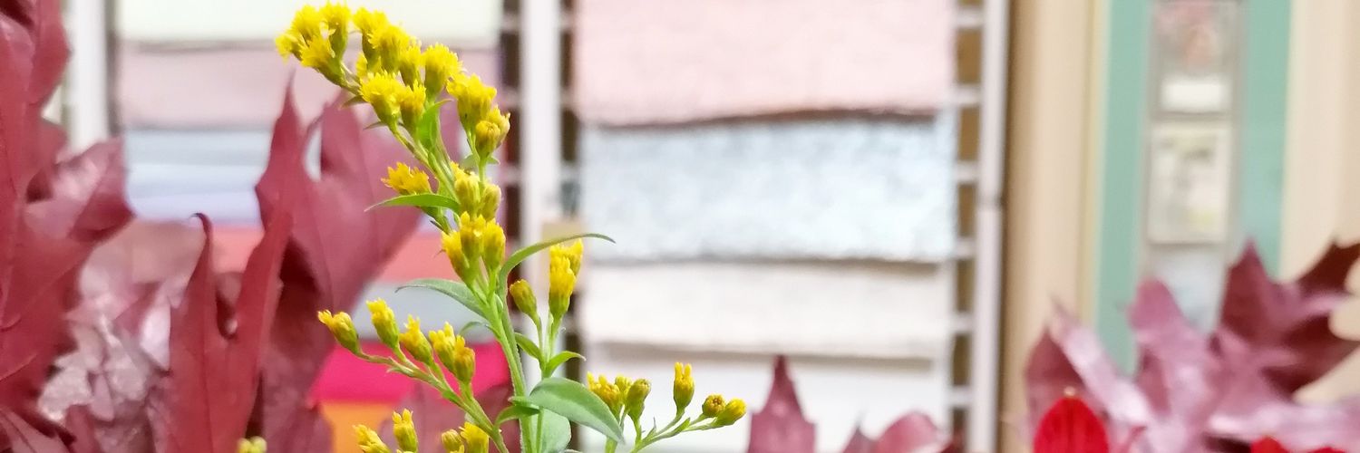 atentamentepap's profile banner image