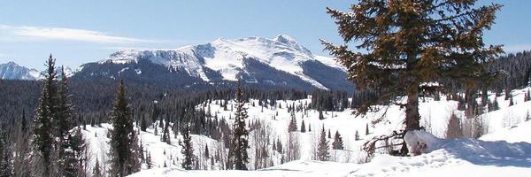 COEdVoice Profile Banner