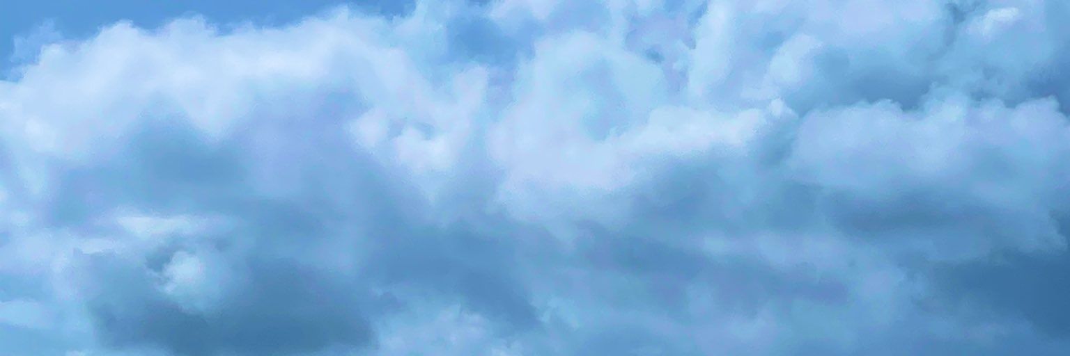 JuniorNatasha's profile banner image