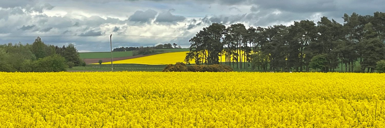 Turniptops53 banner