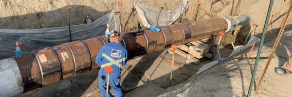 toadschefter Profile Banner