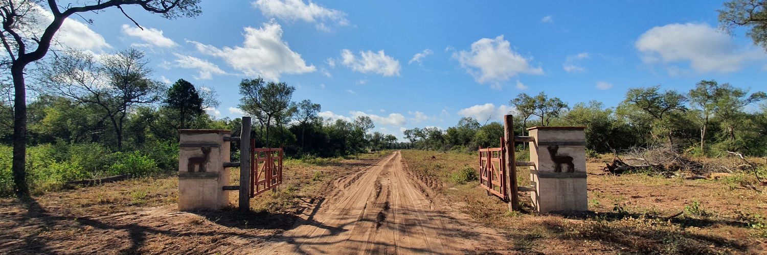 Martin Radlovachky banner