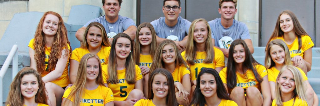 VikettesVball's profile banner image