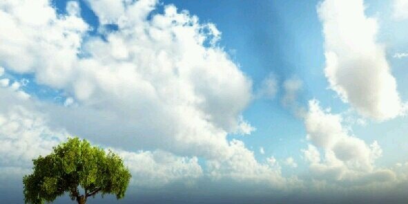 earthhumanity_'s profile banner image