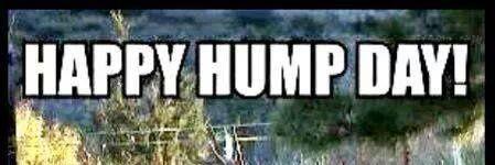 steppyof3's profile banner image
