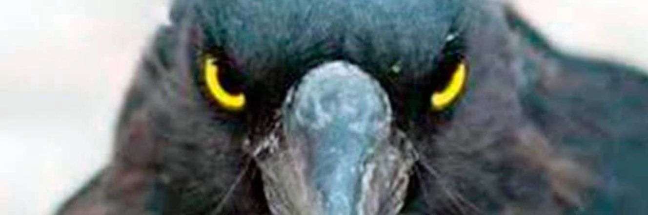 ColKol13's profile banner image
