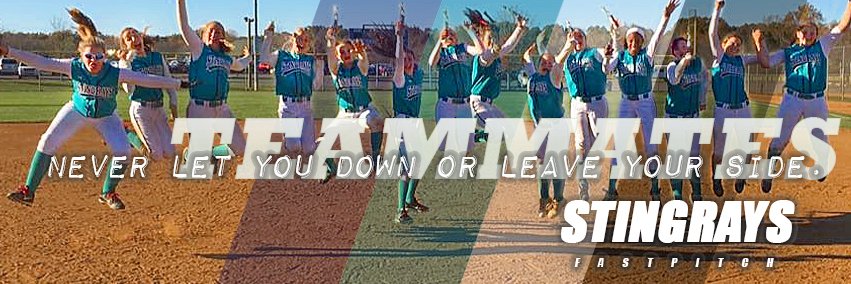 VA Stingrays Fastpitch banner