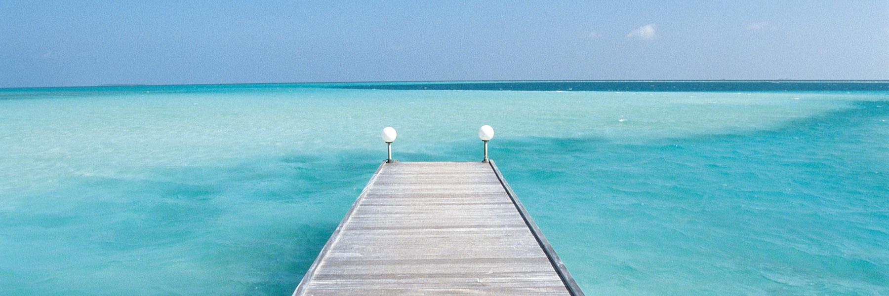 blanc_geraldine's profile banner image