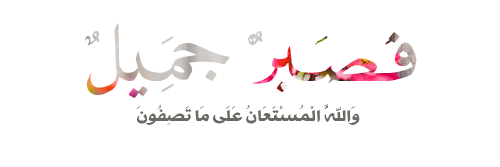 ZainebSk's profile banner image