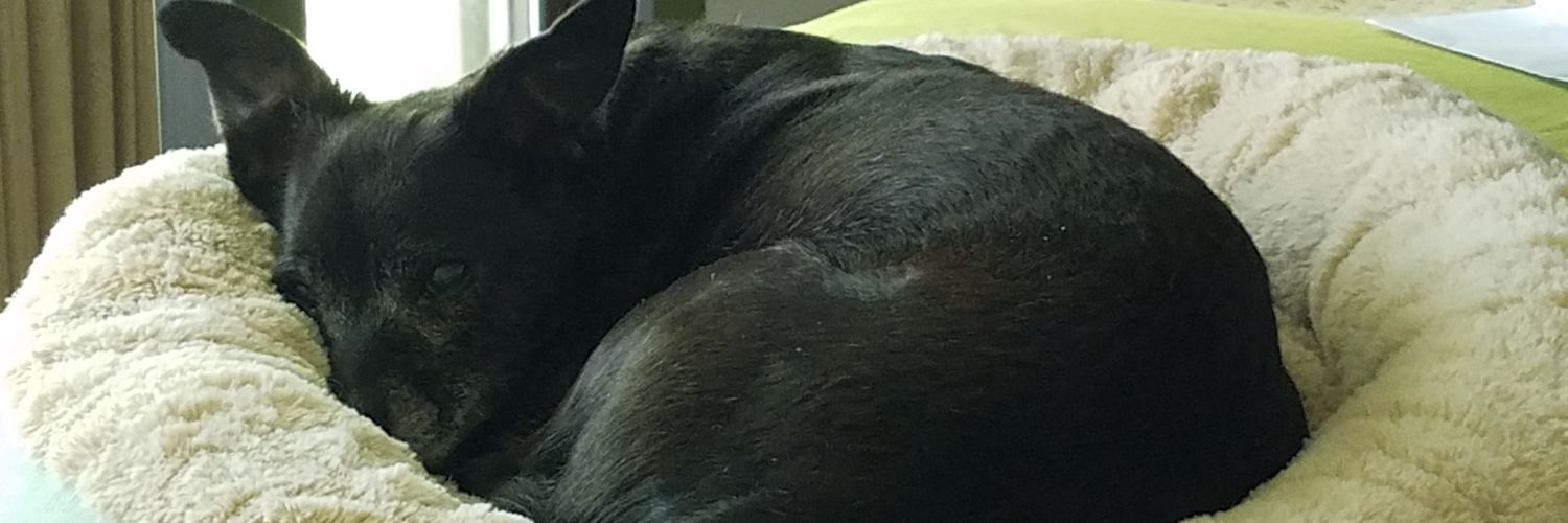 roresist's profile banner image