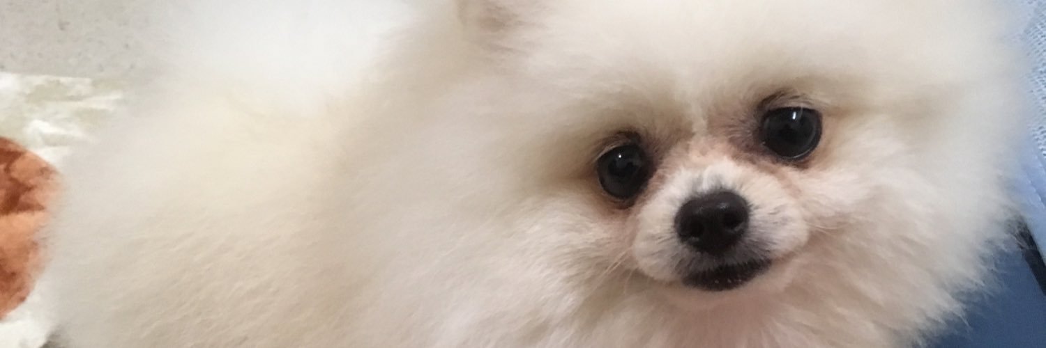 KTY5995's profile banner image
