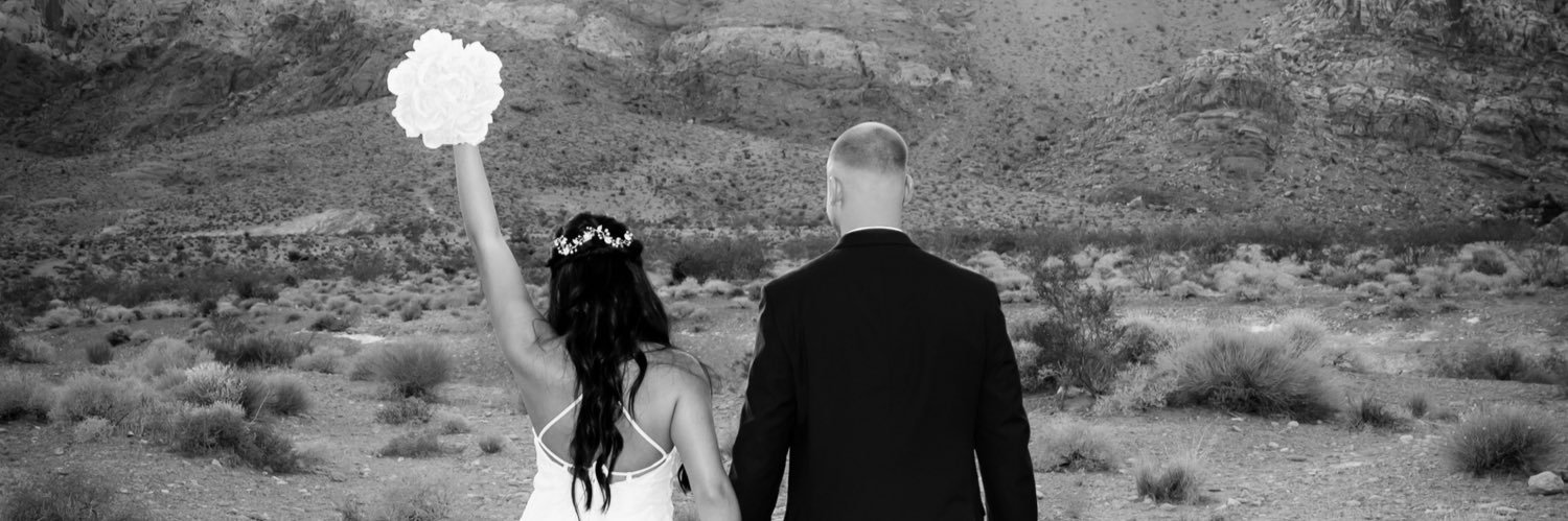alexandreacoley's profile banner image