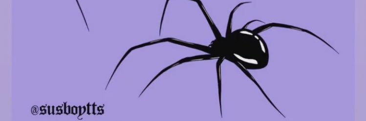 C_Spbk's profile banner image